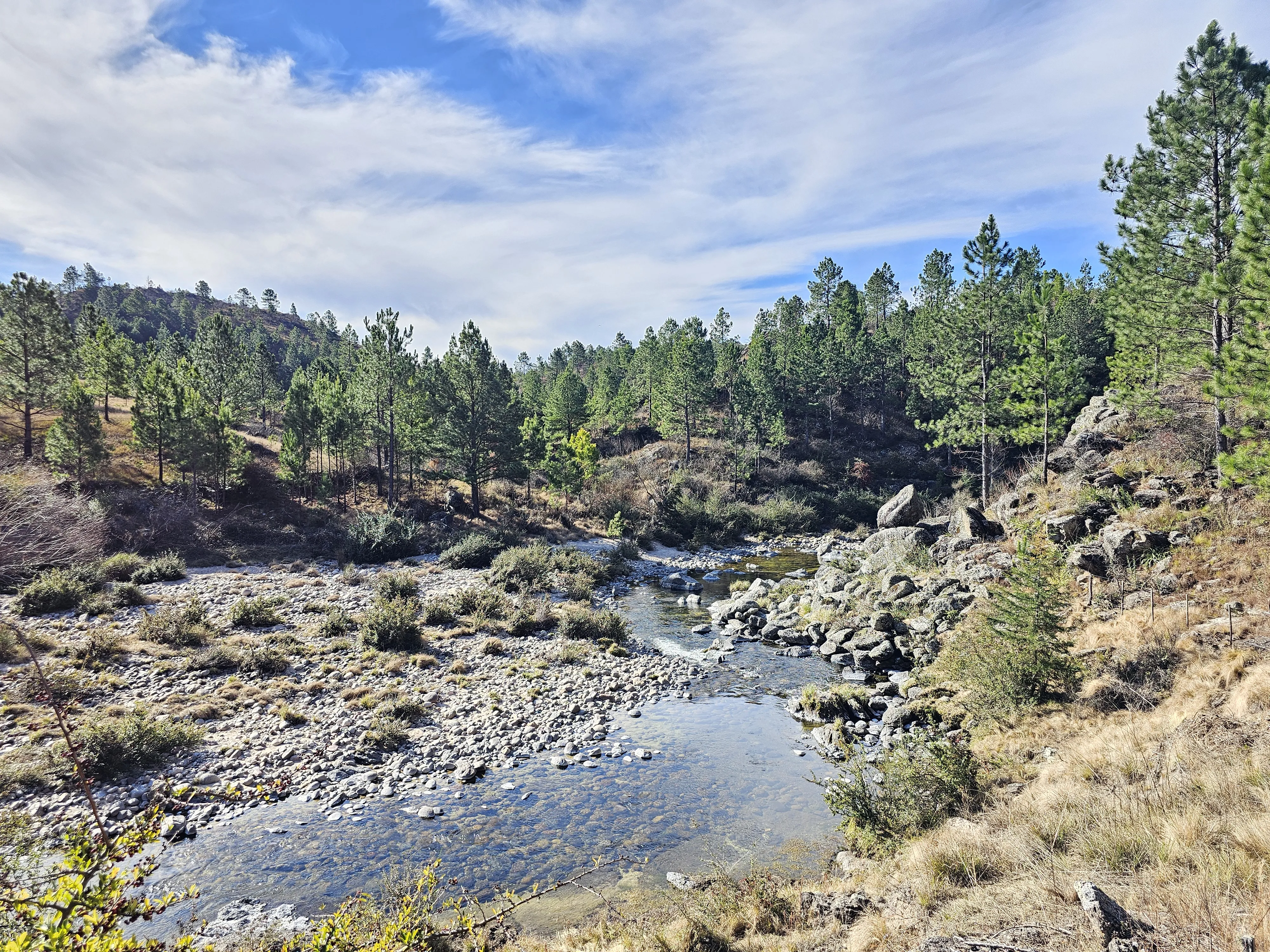 Campo Villa Alpina. Oportunidad Unica, Fraccion 40 Ha. Bajada al Rio los Reartes. 500 mts de Costa.