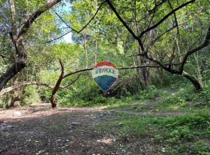 Terreno · 9667m²