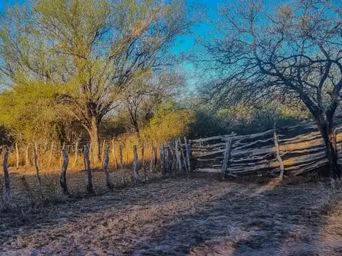 Campo en Venta en Árbol Solo, Belgrano