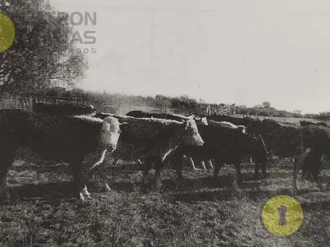Campo en Venta en Botijas, Ayacucho
