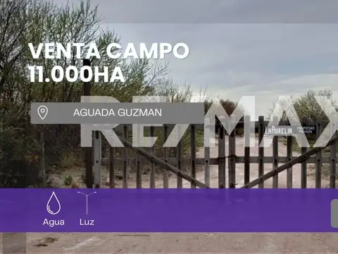 Campo en Venta en Aguada Guzman, El Cuy