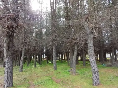 Terreno en Venta en Dina Huapi, Pilcaniyeu