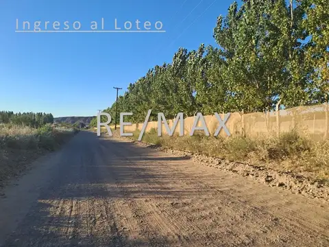 Terreno en Venta en Plottier, Confluencia