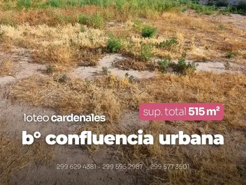 Terreno en Venta en Neuquén, Confluencia