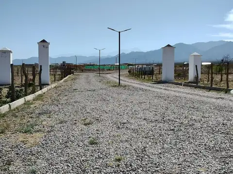 Terreno en Venta en Luján de Cuyo, Mendoza