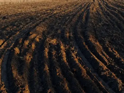 Terreno en Venta en General Alvear, Mendoza
