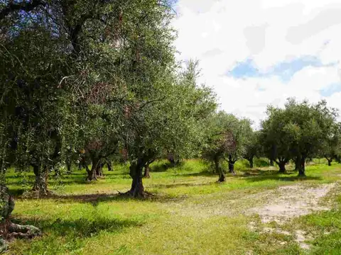 Terreno en Venta en Russell, Maipú