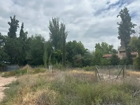 Terreno en Venta en Luján de Cuyo, Mendoza