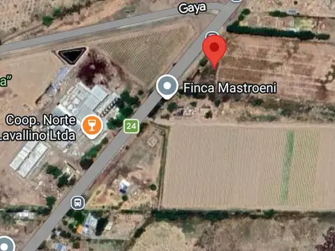 Campo en Venta en El Vergel, Lavalle