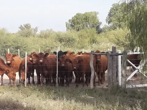 Campo en Venta en Cruz del Yugo, La Paz