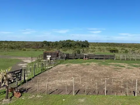 Campo en Venta en Golondrina, Vera