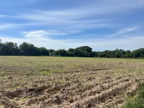 Terreno en Venta en Coronda, San Jerónimo