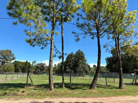 Terreno en Venta en Roldan, San Lorenzo