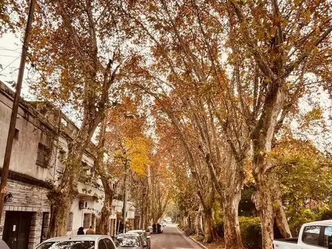Departamento en Venta en Villa Urquiza, Capital Federal