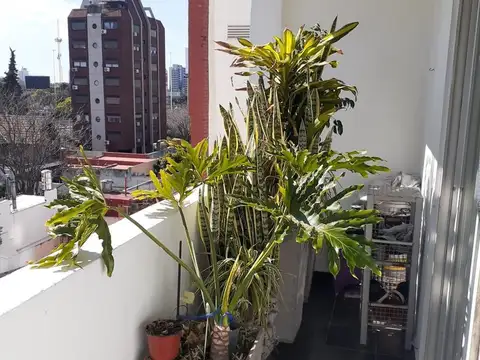 Departamento en Venta en Lomas de Nuñez, Nuñez