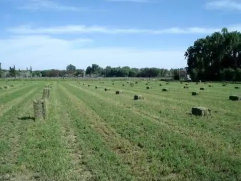 Campo en Venta en Pomona, Avellaneda