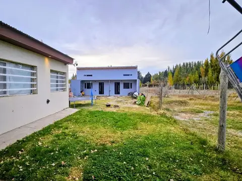 Casa en Alquiler en Plottier, Confluencia