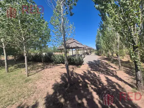 Terreno en Venta en Picun Leufu, Picún Leufú