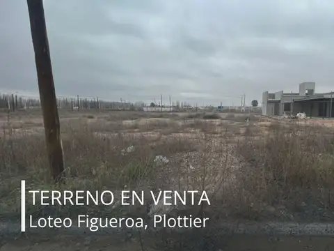 Terreno en Venta en Plottier, Confluencia