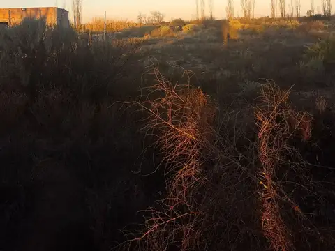 Terreno en Venta en Villa Antigua, La Paz