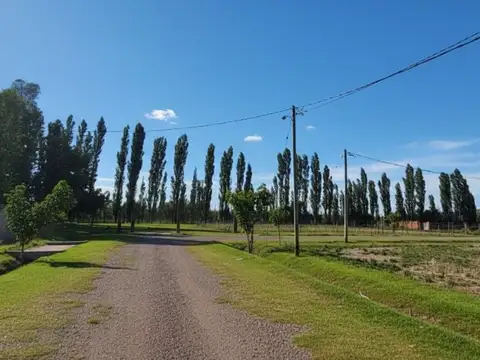 Terreno en Venta en Las Paredes, San Rafael
