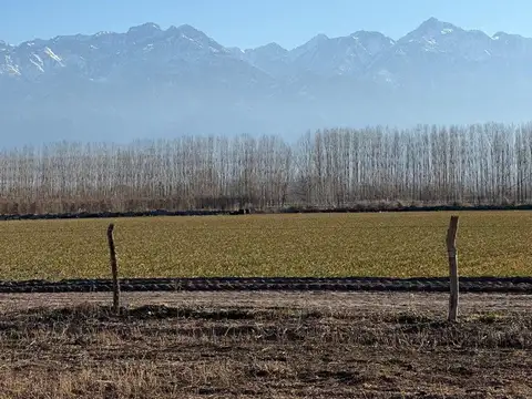 Terreno en Venta en Vista Flores, Tunuyán