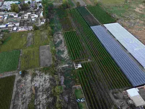 Terreno en Venta en El Sauce, Guaymallén