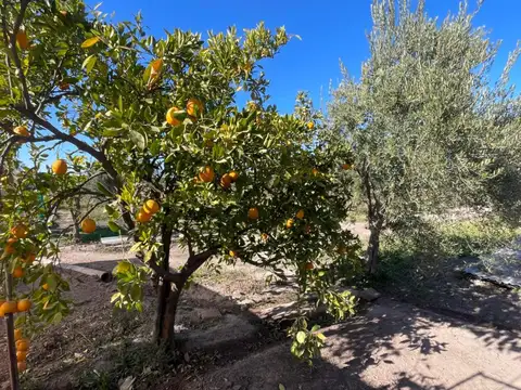 Terreno en Venta en Maipu, Maipú