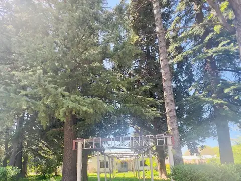Terreno en Venta en Pareditas, San Carlos