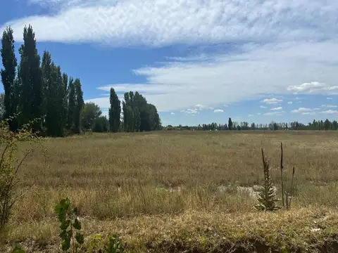 Terreno en Venta en Pareditas, San Carlos