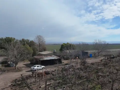 Campo en Venta en Cordon de Plata, Tupungato