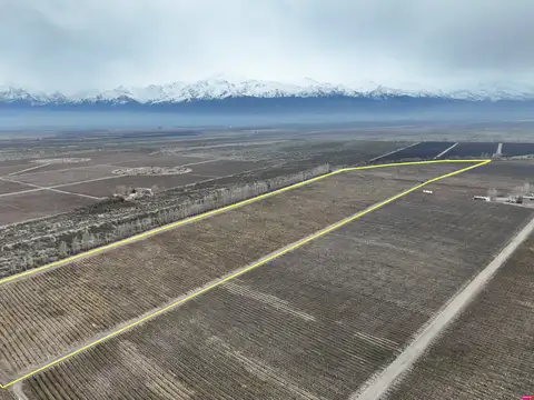 Campo en Venta en Gualtallary, Tupungato