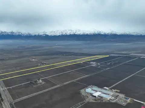 Campo en Venta en Gualtallary, Tupungato