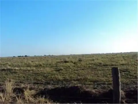 Campo en Venta en Gregoria Perez de Denis, 9 de Julio
