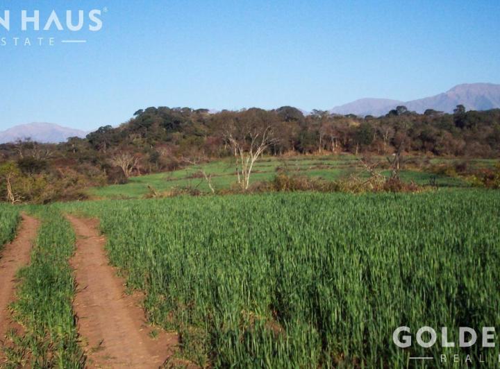 Campo · 72000000ha