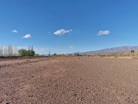 Campo en Venta en Barreal, Calingasta