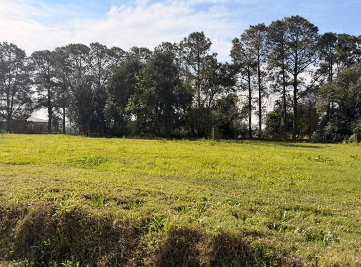 Terreno · 459m²