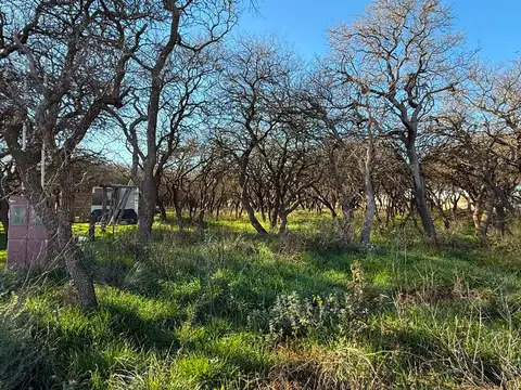 Terreno en Venta en Ataliva Roca, Utracán