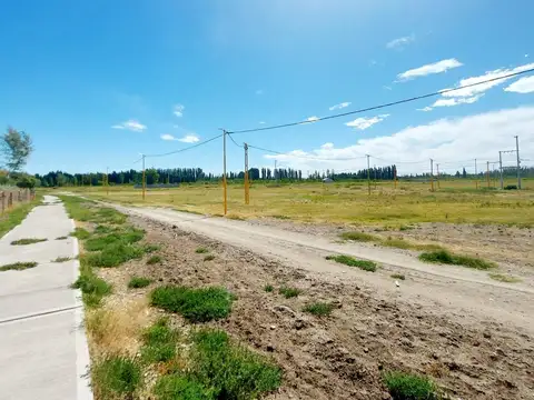 Terreno en Venta en Cervantes, General Roca