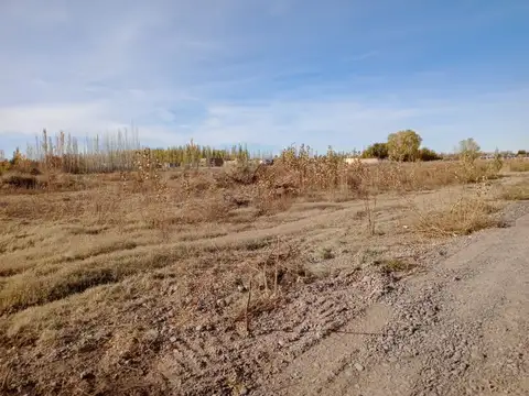 Terreno en Venta en General Fernández Oro, General Roca