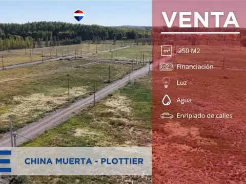 Terreno en Venta en Plottier, Confluencia