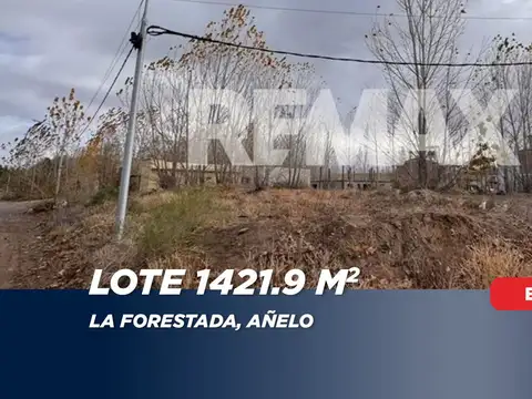 Terreno en Venta en Añelo, Neuquén