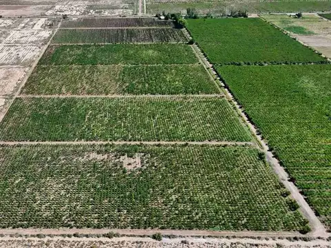 Campo en Venta en Fray Luis Beltran, Maipú