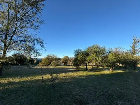 Terreno en Venta en Los Reartes, Calamuchita