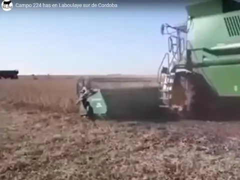 Campo en Venta en Laboulaye, Presidente Roque Sáenz Peña