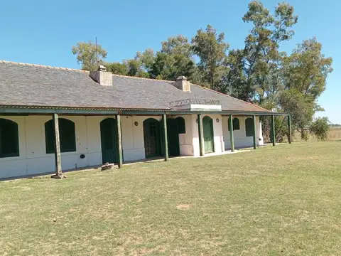 Campo en Venta en Las Flores, Partido de Las Flores