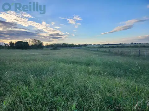 Campo en Venta en Zelaya, Partido de Pilar