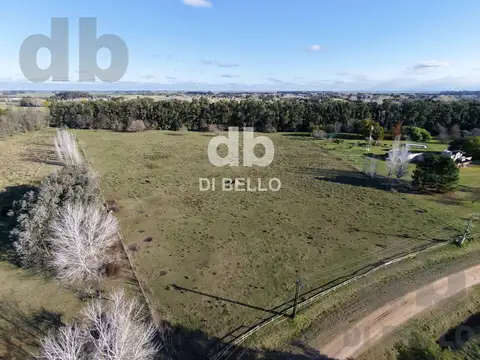 Campo en Venta en Estancia Benquerencia Farm Club, Countries y Barrios Cerrados en San Miguel del Monte