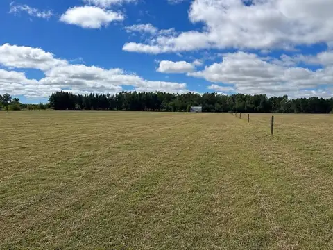 Campo en Venta en San Miguel del Monte, Partido de Monte