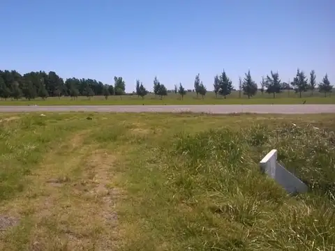 Campo en Venta en Cañuelas, Partido de Cañuelas